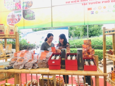 NẤM LINH CHI GACO: SẢN PHẨM MANG TÍNH GIAO THƯƠNG, ĐẦY Ý NGHĨA