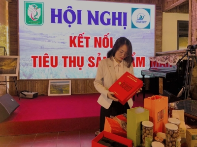 Chi hội Sản vật Tây Nguyên: Kết nối xúc tiến thương mại cho các doanh nghiệp, nhà phân phối trong nước sau đại dịch Covid-19