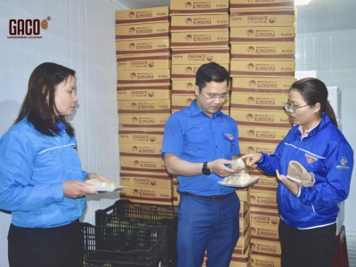 GACO VINH DỰ ĐÓN TIẾP TỈNH ĐOÀN GHÉ THĂM HOẠT ĐỘNG SẢN XUẤT 