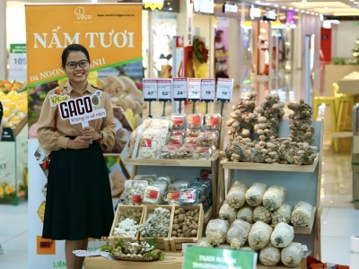 Nấm tươi Poco Samling tại WINMART Thảo Điền