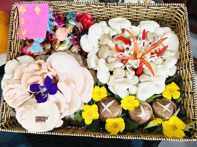 QUÀ TẶNG GACO CHO VALENTINE DAY 2023