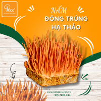 NẤM ĐÔNG TRÙNG HẠ THẢO POCO