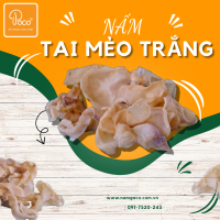 NẤM MÈO TRẮNG KHÔ POCO (NGUYÊN TAI)