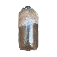 Phôi nấm xám bào ngư không liên kết