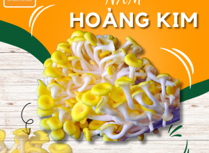 NẤM HOÀNG KIM POCO