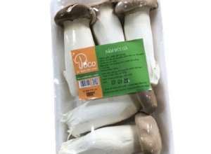 NẤM ĐÙI GÀ POCO