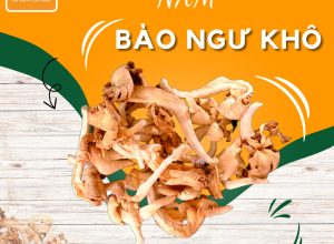 NẤM BÀO NGƯ KHÔ POCO 