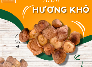 NẤM HƯƠNG KHÔ POCO