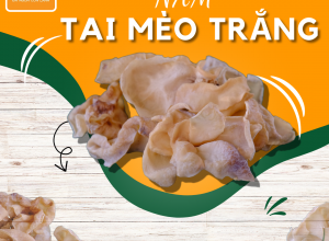 NẤM MÈO TRẮNG KHÔ POCO (NGUYÊN TAI)