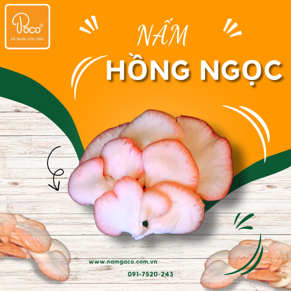 NẤM HỒNG NGỌC POCO 