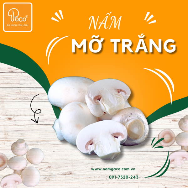 NẤM MỠ TRẮNG POCO 