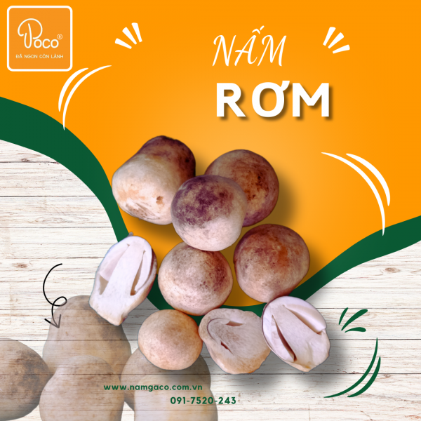 NẤM RƠM POCO