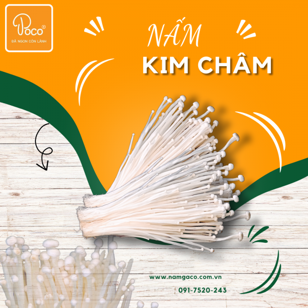 NẤM KIM CHÂM HÀN QUỐC POCO