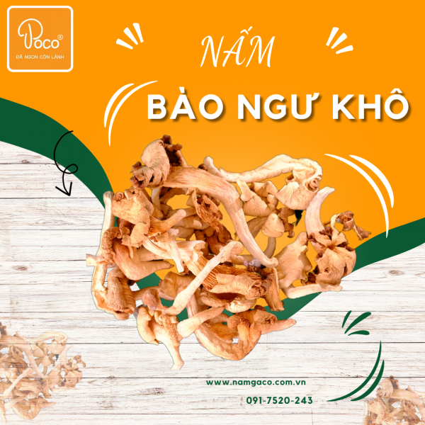 NẤM BÀO NGƯ KHÔ POCO 