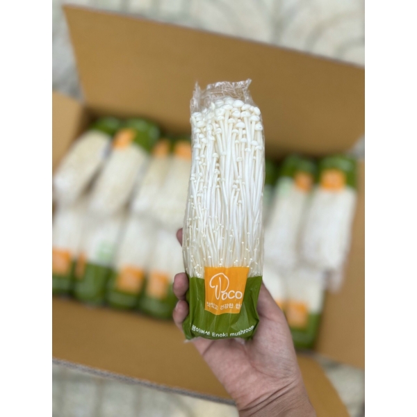 NẤM KIM CHÂM HÀN QUỐC POCO