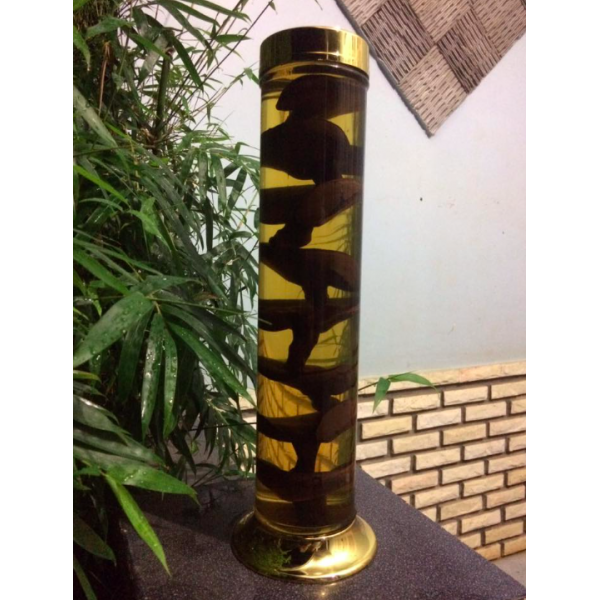 RƯỢU LINH CHI GACO 3 LÍT