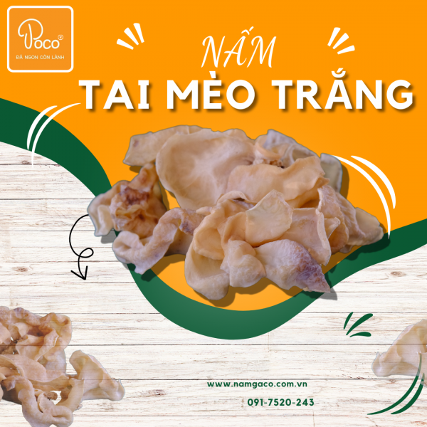 NẤM MÈO TRẮNG KHÔ POCO (NGUYÊN TAI)