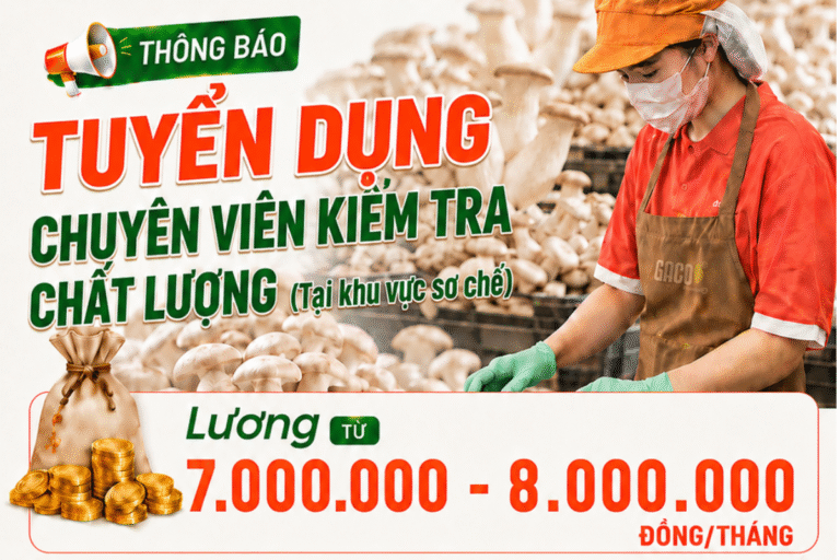 GACO TUYỂN DỤNG VỊ TRÍ CHUYÊN VIÊN KIỂM TRA CHẤT LƯỢNG