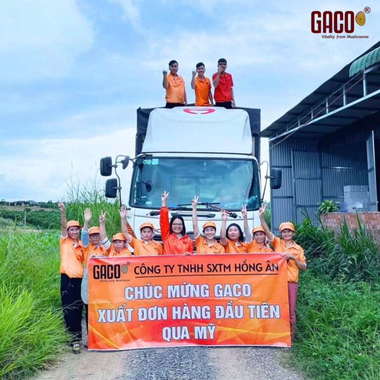 NÔNG SẢN VIỆT NAM 2026: TỪ LỢI THẾ SẢN LƯỢNG SANG GIÁ TRỊ XUẤT KHẨU